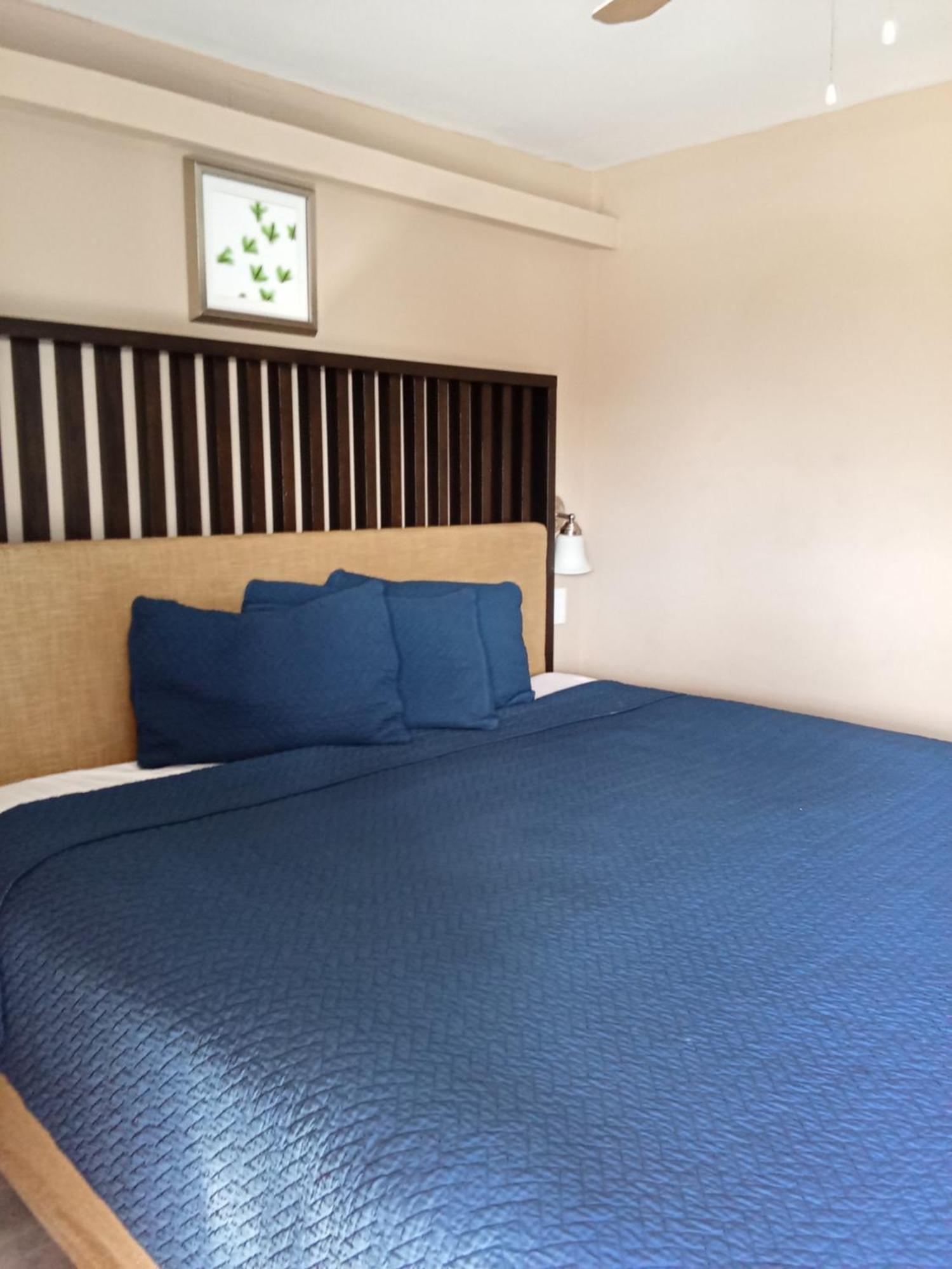 Budget Inn Of סברינג מראה חיצוני תמונה